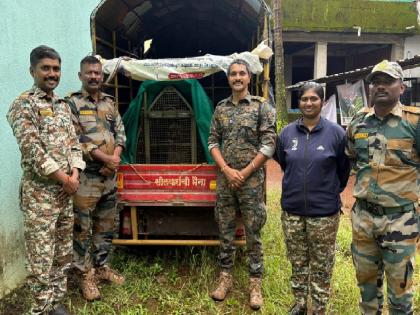 Ran after the dog and got stuck in the leopard bathroom | Ratnagiri: श्वानाच्या मागे धावला अन् बिबट्या बाथरूमात अडकला