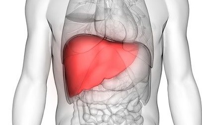 Liver Cancer Awareness Month; 34,000 new cases of liver cancer in India every year | यकृत कर्करोग जागरूकता महिना; भारतात दरवर्षी ३४ हजार यकृताच्या कर्करोगाचे नवे रुग्ण