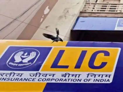 LIC IPO : या पॉलिसीधारकांना नाही मिळणार एलआयसी आयपीओमध्ये सूट; तुमच्याकडे आहे का? तपासा...