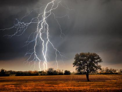 Waiting under a tree in the rain was desperate; Farm laborer killed by lightning, two injured | पावसात झाडाखाली थांबणे जिवावर बेतले; वीज पडून शेतमजुराचा मृत्यू, दोघे जखमी