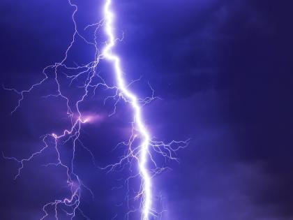 Three animals and a woman, were killed in a lightning strike in Hingoli district | हिंगोली जिल्ह्यात वीज पडून महिलेसह तीन जनावरे दगावली