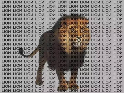 Optical Illusions : Where is LION spelled correctly? Only those with a keen eye can recognize it | Optical Illusions : LION चे बरोबर स्पेलिंग कुठे लिहिले आहे? घारीची नजर असलेलेच ओळखू शकतात