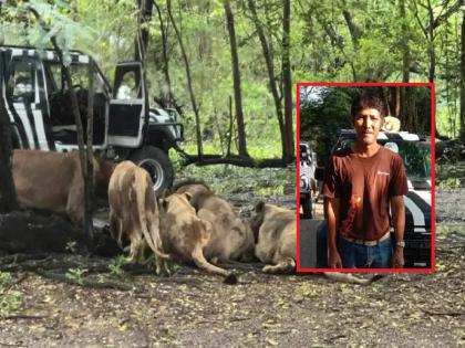 Thailand News: Video: Lion attacks zoo employee, tears him apart and eats him in front of tourists | Video: प्राणीसंग्रहालयातील कर्मचाऱ्यावर सिंहाचा हल्ला, पर्यटकांसमोर फाडून खाल्ले...