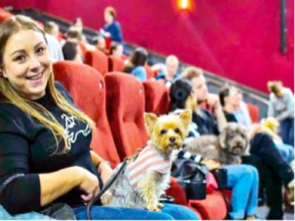 Going to the cinema? Take the dog! | सिनेमाला जाताय? कुत्र्याला घेऊन जा!