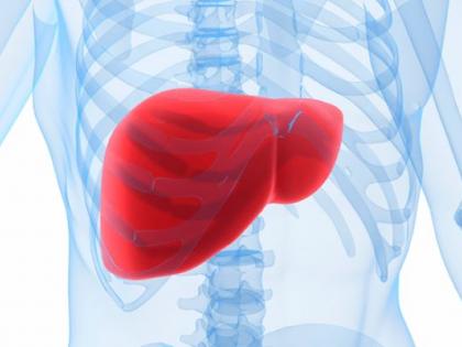 'Glycotherapy' will accurately diagnose liver related diseases | यकृताशी संबंधित आजारांवर ‘ग्लायकाेथेरेपी’ अचूक निदान करेल