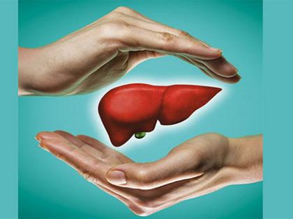 world liver day tips dos and don'ts to keep your liver healthy | World liver day 2022: तुमच्या लिव्हरचे आरोग्य जपण्यासाठी टाळा 'या' चूका, अन् करा हे उपाय