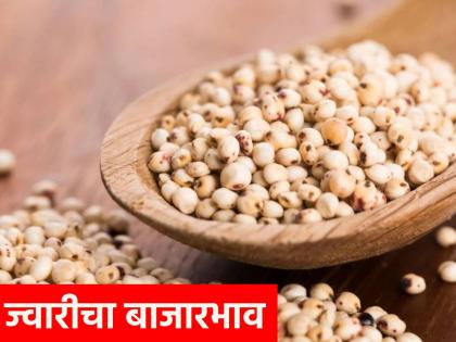 price of jowari fell by rs 10 to rs 20 | ज्वारीची भाकर झाली ‘गोड’ दरात १० ते २० रुपयांनी घसरण