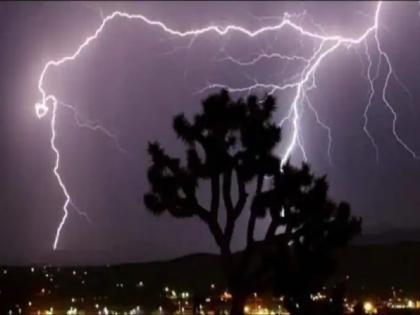 3 goats were killed by lightning, luckily the cowherd was saved | वीज पडून ३ शेळ्या दगावल्या, सुदैवाने गुराखी बचावला