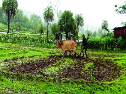  Lessons to the farmers of the tractor | ट्रॅक्टरच्या जमान्यात शेतकऱ्यांची नांगराकडे पाठ