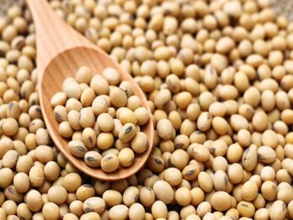 Seed defective in 329 soybean complaints; Filed a crime against the company | सोयाबीनच्या ३२९ तक्रारींत बियाणे सदोष; कंपनीवर गुन्हा दाखल