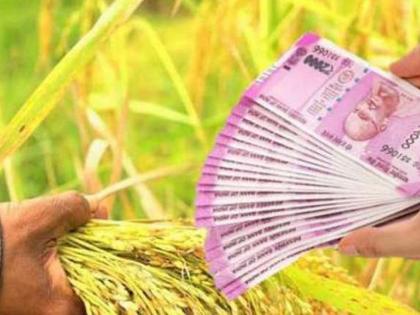 Crop loan of Rs 456 crore distributed to 50,000 farmers in Akola district | अकोला जिल्ह्यात ५० हजार शेतकऱ्यांना ४५६ कोटींचे पीक कर्ज वाटप