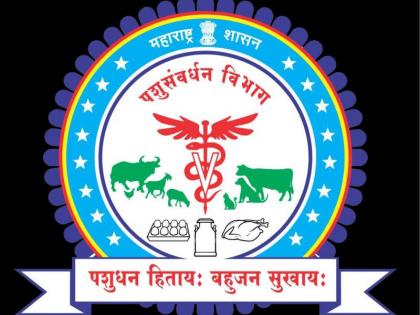 Fill vacancies of Maharashtra Livestock Development Board | महाराष्ट्र पशुधन विकास मंडळातील रिक्त पदे भरा