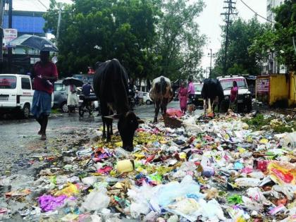 Fiasco of Cleaning during the festive season | सणासुदीच्या दिवसांत साफसफाईचा बाेजवारा