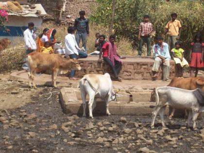 Thousands of villages in Thane | व-हाडात तीन हजारांवर गावे तहानली!