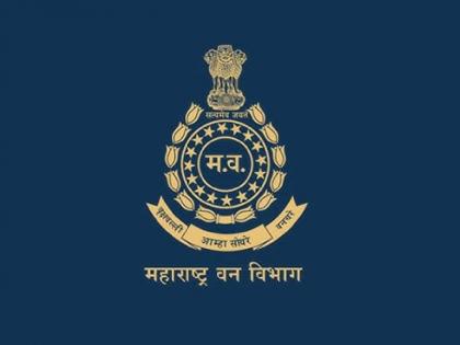 गिळंकृत वन जमिनींचा शोध घेण्यासाठी 'एसआयटी' गठीत पण गुंता सुटेना