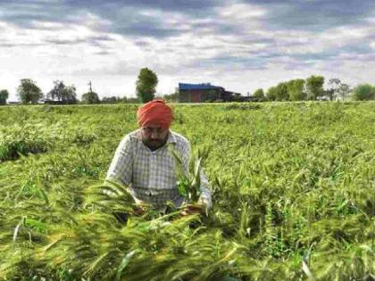Crop insurance expires, who will take responsibility for the loss? June 3rd deadline | पीक विम्याची मुदत संपली, नुकसानीची जबाबदारी घेणार कोण? ३ जून अंतिम तारीख Crop insurance expires, who will take responsibility for the loss? June 3rd deadline | पीक विम्याची मुदत संपली, नुकसानीची जबाबदारी घेणार कोण? ३ जून अंतिम तारीख