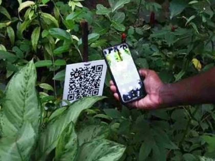 Crop management brochures will now be available with seeds, when will the QR code be improved? | बियाण्यांसोबत मिळणार आता पीक व्यवस्थापन माहितीपत्रक, क्यूआर कोडमध्ये सुधारणा कधी? Crop management brochures will now be available with seeds, when will the QR code be improved? | बियाण्यांसोबत मिळणार आता पीक व्यवस्थापन माहितीपत्रक, क्यूआर कोडमध्ये सुधारणा कधी?