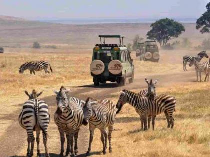 'African Safari' to be experienced soon at Nagpur's Gorewada Zoological Park | नागपूरच्या गोरेवाडा प्राणी संग्रहालयात लवकरच अनुभवता येणार 'आफ्रिकन सफारी' 'African Safari' to be experienced soon at Nagpur's Gorewada Zoological Park | नागपूरच्या गोरेवाडा प्राणी संग्रहालयात लवकरच अनुभवता येणार 'आफ्रिकन सफारी'