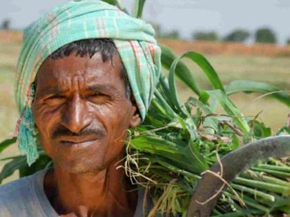 58 thousand farmers waiting for PM Kisan subsidy | ५८ हजार शेतकऱ्यांना पीएम किसानच्या अनुदानाची प्रतीक्षा