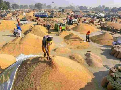 This year, the corporation's paddy purchase will be 15 lakh quintals | यंदा महामंडळाची धान खरेदी १५ लाख क्विंटलवर जाणार