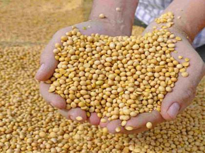 Spending thousands on soybeans, no guarantee of income | सोयाबीनवर हजारोंचा खर्च, उत्पन्नाची नाही हमी