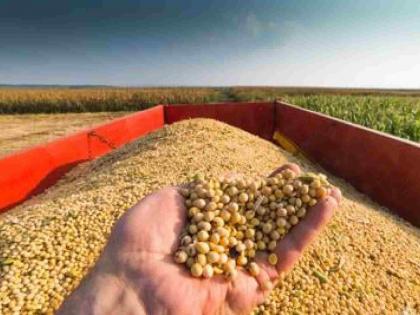 Farmers' Diwali will be sweet only if soybeans get a price | सोयाबीनला भाव मिळाला तरच शेतकऱ्यांची दिवाळी गोड