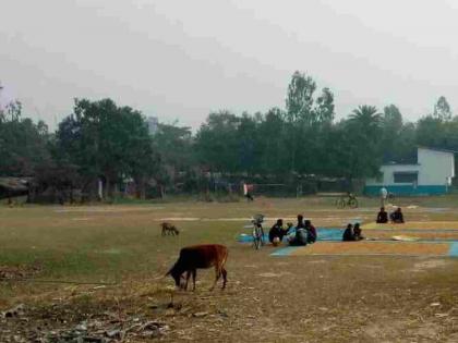 Bad condition of taluka sports complex, free movement of animals | तालुका क्रीडा संकुलाची दुरवस्था, जनावरांचा मुक्तसंचार