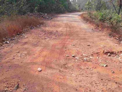 lack of paved roads; Citizens of 20 villages are on a tough journey | पक्क्या रस्त्यांचा अभाव; २० गावांतील नागरिकांचा सुरू आहे खडतर प्रवास