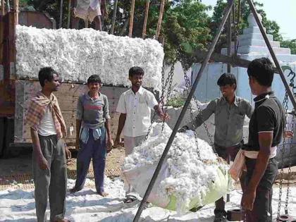 CCI Cotton procurement started in the centre | सी.सी.आय. केंद्रात कापूस खरेदीला झाला प्रारंभ