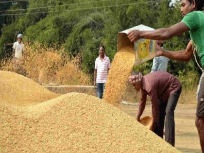 Guaranteed paddy sale registration in trouble; App not working | हमीभाव धान विक्री नोंदणी अडचणीत; ॲप काम करेना