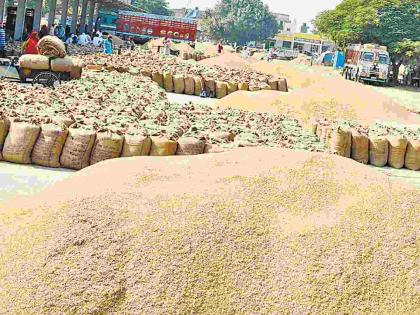 Farmers get cheated, merchants' silver; Purchase of paddy at low prices | शेतकऱ्यांची फसगत, व्यापाऱ्यांची चांदी; कमी दरात धानाची खरेदी