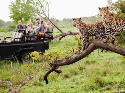 The gates of Nature Safari are open; Now tigers, leopards, bears will also be seen | नेचर सफारीचे द्वार झाले खुले; आता वाघ, बिबट, अस्वलांचेही होईल दर्शन