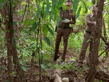 A mother found the skeleton of a child who had been missing for five months in the forest | पाच महिन्यांपासून बेपत्ता मुलाचा आईला जंगलात आढळला सांगाडा