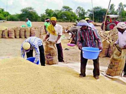 Farmers deprived of compensation even six months after selling paddy | धान विक्री करून सहा महिन्यांनंतरही चुकाऱ्यापासून शेतकरी वंचित Farmers deprived of compensation even six months after selling paddy | धान विक्री करून सहा महिन्यांनंतरही चुकाऱ्यापासून शेतकरी वंचित