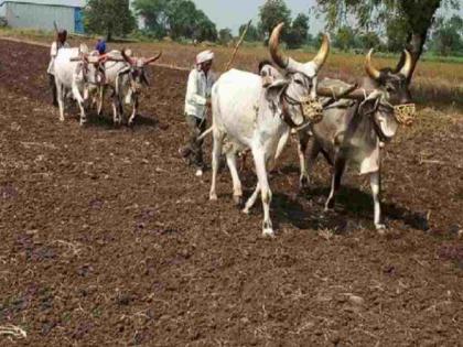 Monsoon will be delayed in June, farmers should not rush to sow! | जूनमध्ये मान्सून खोळंबणार, शेतकऱ्यांनो पेरणीची घाई नको! Monsoon will be delayed in June, farmers should not rush to sow! | जूनमध्ये मान्सून खोळंबणार, शेतकऱ्यांनो पेरणीची घाई नको!