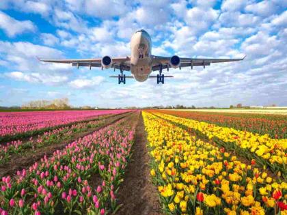 Good news for Nagpur residents: Direct connecting flights to Manchester and Amsterdam via Mumbai will start! | नागपूरकरांसाठी आनंदाची बातमी : मॅंचेस्टर आणि आम्स्टरडॅमसाठी मुंबईमार्गे थेट कनेक्टिंग फ्लाइट्स सुरू होणार ! Good news for Nagpur residents: Direct connecting flights to Manchester and Amsterdam via Mumbai will start! | नागपूरकरांसाठी आनंदाची बातमी : मॅंचेस्टर आणि आम्स्टरडॅमसाठी मुंबईमार्गे थेट कनेक्टिंग फ्लाइट्स सुरू होणार !