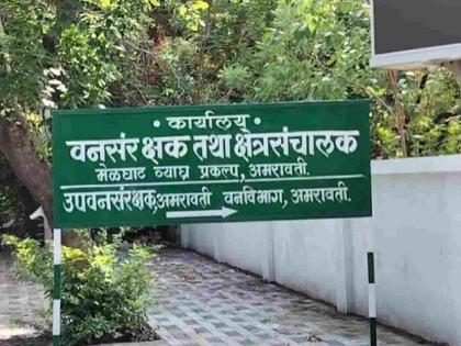 14 forest workers at the bungalow of the Chief Conservator of Forests in Amravati; Complaint directly to the Chief Secretary! | अमरावती येथील मुख्य वनसंरक्षकांच्या बंगल्यावर १४ वनमजूर; थेट मुख्य सचिवांकडे तक्रार! 14 forest workers at the bungalow of the Chief Conservator of Forests in Amravati; Complaint directly to the Chief Secretary! | अमरावती येथील मुख्य वनसंरक्षकांच्या बंगल्यावर १४ वनमजूर; थेट मुख्य सचिवांकडे तक्रार!