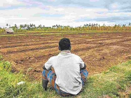 Only 9 percent of the rainfall fell in Bhandara district! Kharif in crisis | भंडारा जिल्ह्यात केवळ ९ टक्केच पडला पाऊस ! खरीप संकाटात मृग कोरडा Only 9 percent of the rainfall fell in Bhandara district! Kharif in crisis | भंडारा जिल्ह्यात केवळ ९ टक्केच पडला पाऊस ! खरीप संकाटात मृग कोरडा