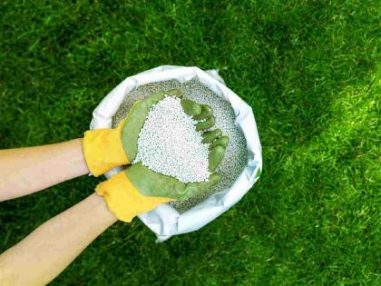 If you don't have DAP fertilizer for Kharif, what alternative will you use? | खरिपासाठी डीएपी खत मिळालेच नाही तर कोणता पर्याय वापराल? If you don't have DAP fertilizer for Kharif, what alternative will you use? | खरिपासाठी डीएपी खत मिळालेच नाही तर कोणता पर्याय वापराल?