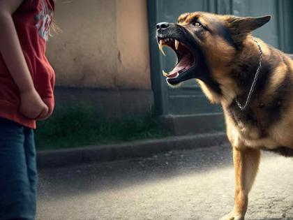 Scared by a stray dog barking, 12-year-old boy falls to death from sixth floor | मोकाट कुत्रा भुंकल्याने घाबरला, सहाव्या माळ्यावरून पडून १२ वर्षीय मुलाचा मृत्यू Scared by a stray dog barking, 12-year-old boy falls to death from sixth floor | मोकाट कुत्रा भुंकल्याने घाबरला, सहाव्या माळ्यावरून पडून १२ वर्षीय मुलाचा मृत्यू
