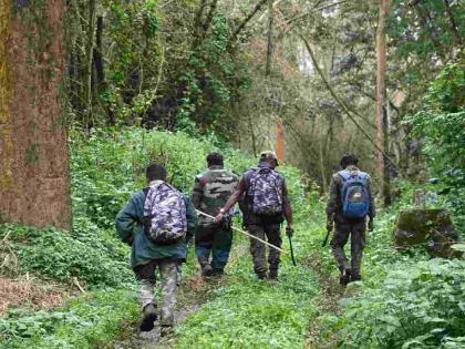 The protectors became the predators! Forest department officials hunted deer in Alapalli | रक्षकच बनले भक्षक ! आलापल्लीत वन विभागाच्या अधिकाऱ्यांनीच केली हरणाची शिकार