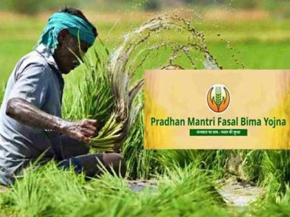 Farmers turned their backs this year due to changes in the crop insurance scheme | पीक विमा योजनेत बदल केल्याने यंदा शेतकऱ्यांनी फिरवली पाठ Farmers turned their backs this year due to changes in the crop insurance scheme | पीक विमा योजनेत बदल केल्याने यंदा शेतकऱ्यांनी फिरवली पाठ