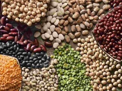 Modern 'Pulses Protein Park' to be built on Bhandara Road with an investment of Rs 200 crore | २०० कोटींच्या गुंतवणुकीतून भंडारा रोडवर साकारणार आधुनिक 'पल्सेस प्रोटीन पार्क' Modern 'Pulses Protein Park' to be built on Bhandara Road with an investment of Rs 200 crore | २०० कोटींच्या गुंतवणुकीतून भंडारा रोडवर साकारणार आधुनिक 'पल्सेस प्रोटीन पार्क'