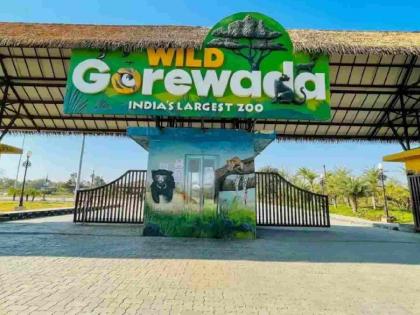 Controversial appointments at Gorewada Zoo! Court summons managing director | गोरेवाडा प्राणिसंग्रहालयातील वादग्रस्त नियुक्त्या! न्यायालयाने व्यवस्थापकीय संचालकांना समन्स बजावला Controversial appointments at Gorewada Zoo! Court summons managing director | गोरेवाडा प्राणिसंग्रहालयातील वादग्रस्त नियुक्त्या! न्यायालयाने व्यवस्थापकीय संचालकांना समन्स बजावला