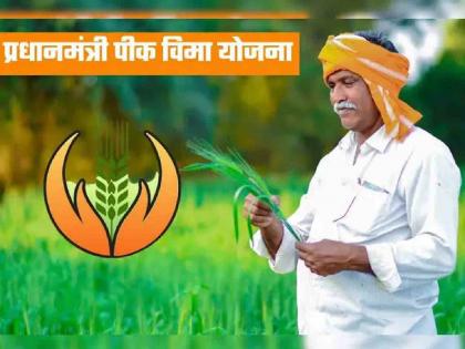 Aadhaar of those taking out bogus crop insurance will be blacklisted | बोगस पिकविमा काढणाऱ्यांचा 'आधार' ब्लॅक लिस्टमध्ये टाकणार Aadhaar of those taking out bogus crop insurance will be blacklisted | बोगस पिकविमा काढणाऱ्यांचा 'आधार' ब्लॅक लिस्टमध्ये टाकणार