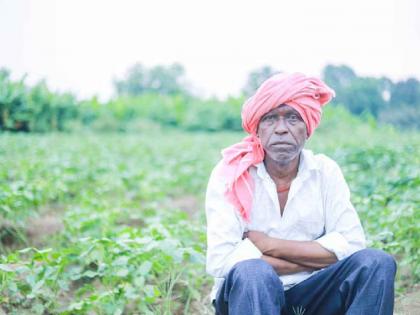 Eight thousand farmers registered in Chandrapur district; Bonus given to only 280 farmers | चंद्रपूर जिल्ह्यात नोंदणी झाली आठ हजार शेतकऱ्यांची; बोनस केवळ २८० शेतकऱ्यांनाच