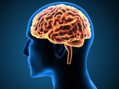 The journey of brain development begins in pregnancy. | गर्भावस्थेपासून सुरू होतो मेंंदू विकासाचा प्रवास