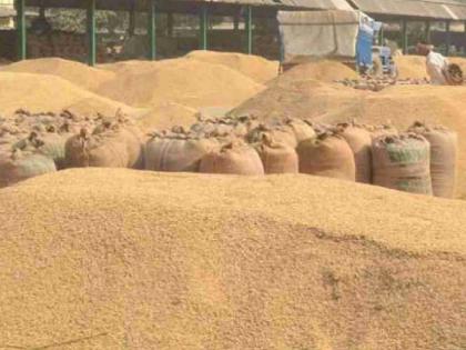 43 thousand farmers owe Rs 422 crore 33 lakh: Farmers face financial crisis during the monsoon season | ४३ हजार शेतकऱ्यांचे ४२२ कोटी ३३ लाख रुपयांचे चुकारे थकले : ऐन हंगामात शेतकऱ्यांची आर्थिक कोंडी 43 thousand farmers owe Rs 422 crore 33 lakh: Farmers face financial crisis during the monsoon season | ४३ हजार शेतकऱ्यांचे ४२२ कोटी ३३ लाख रुपयांचे चुकारे थकले : ऐन हंगामात शेतकऱ्यांची आर्थिक कोंडी
