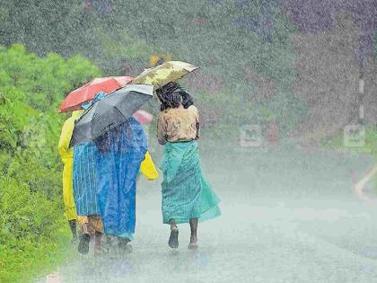 After the long gap, heavy rains fell in Vidarbha. | माेठा खंड पडल्यानंतर विदर्भात धुवांधार बरसल्या श्रावणसरी