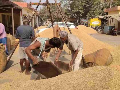 The paddy is gone but there is no money! Two months have passed, the government is still sleeping! | धान गेलं पण पैसे नाही ! दोन महिने लोटले, शासन झोपेतच!
